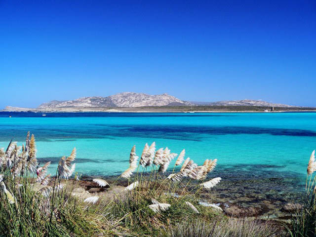 COMUNE DI PORTO TORRES  (ASINARA)