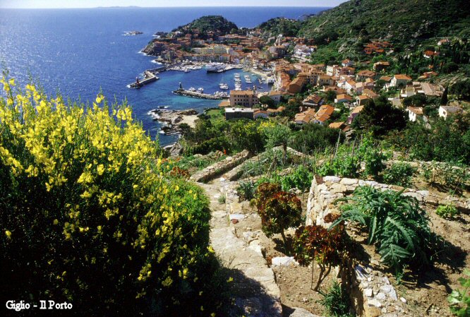 23/07/2008 - Comune di Isola del Giglio - Campionati italiani di fotografia subacquea